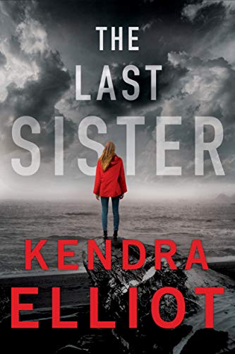 The Last Sister book cover